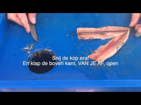 Video: Hoe Haring Te Bakken