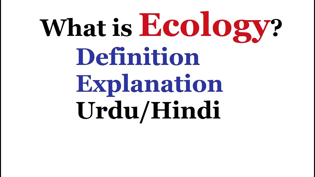 What Is Ecology With Examples Urdu Hindi YouTube