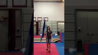 Front Paddles & Back Paddles- Colorguard Tutorial