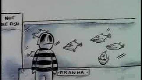 Museum of Science "Piranha"