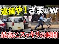 【ドラレコ】逃走中の男を警察官が確保する瞬間【スッキリ】/最新日本ドラレコ映像/交通安全教育/運転の危険予知学習/交通事故撲滅