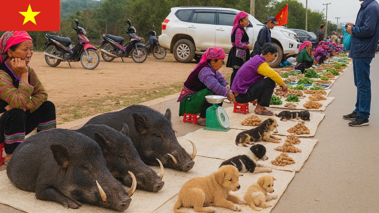 Vietnam's Traditional Morning Market – The Warm Hospitality of Local People | Rural Market