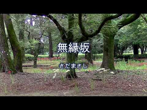 2023-9-23　無縁坂／さだまさし