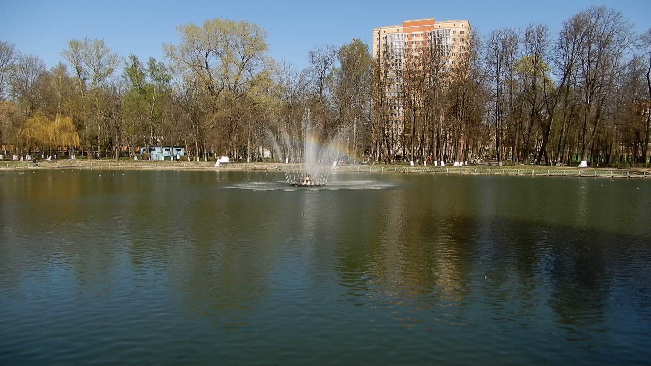 Костино ростовская область. Пруд Костино Королев. Парк Костино Королев. Парк Костино пруд. Город Королев парк Костино.