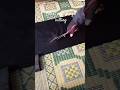 unique pent design cutting/new design #short#shortsvideo #shortsfeed