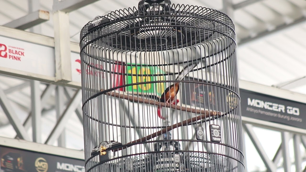 Tiket utama MB bursa 300j ||The Banten cup 1||Lapangan KMM||gantangan no 23