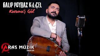 Galip Poyraz Kılıçel - Kurumuş Gül