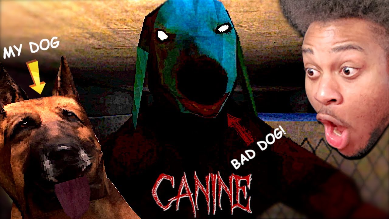 THIS DOG GOT MY DOG LOCKED UP!!! CANINE YouTube