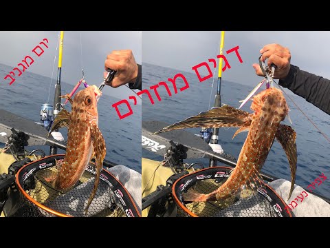 דיג מקיאק  גי'גים, סילקונים, בולוס  סוגי הדגים, לוקוס, דורדו, חזיר ים, טרחון, טייר ים תיכוני פרידות