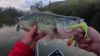 MEGABASS SV-3 DOUBLE WILLOW