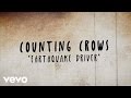 Counting Crows - Earthquake Driver (Lyric Video)