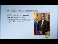 Constitución Política de Colombia Principios Fundamentales