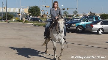 Doc - riding in town - ValleyViewRanch.net