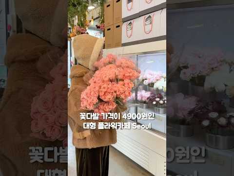 꽃다발 가격이 4900원 대형 플라워 카페 꽃시장까지 갈 필요 없음