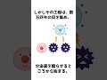 幸せはまぼろし