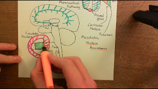 Schizophrenia and Antipsychotic Drugs Part 4