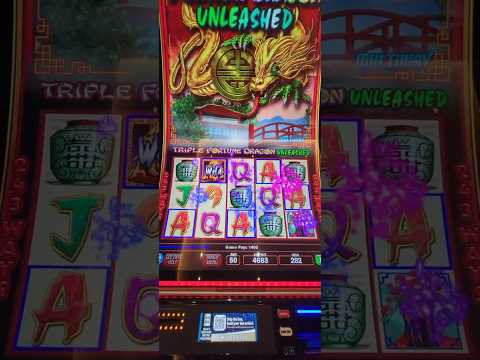 Master Live Dealer Games at Pin-Up Bangladesh: A Comprehensive Guide to Online Play in English for Bangladeshi Players