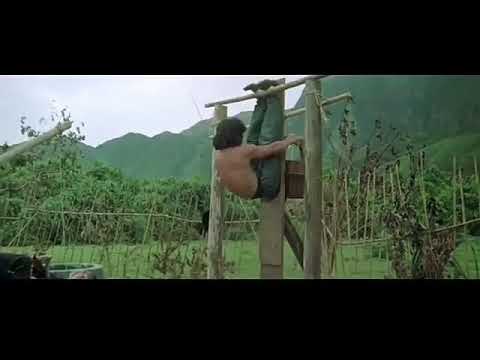 jackie chan dangerous kung fu training