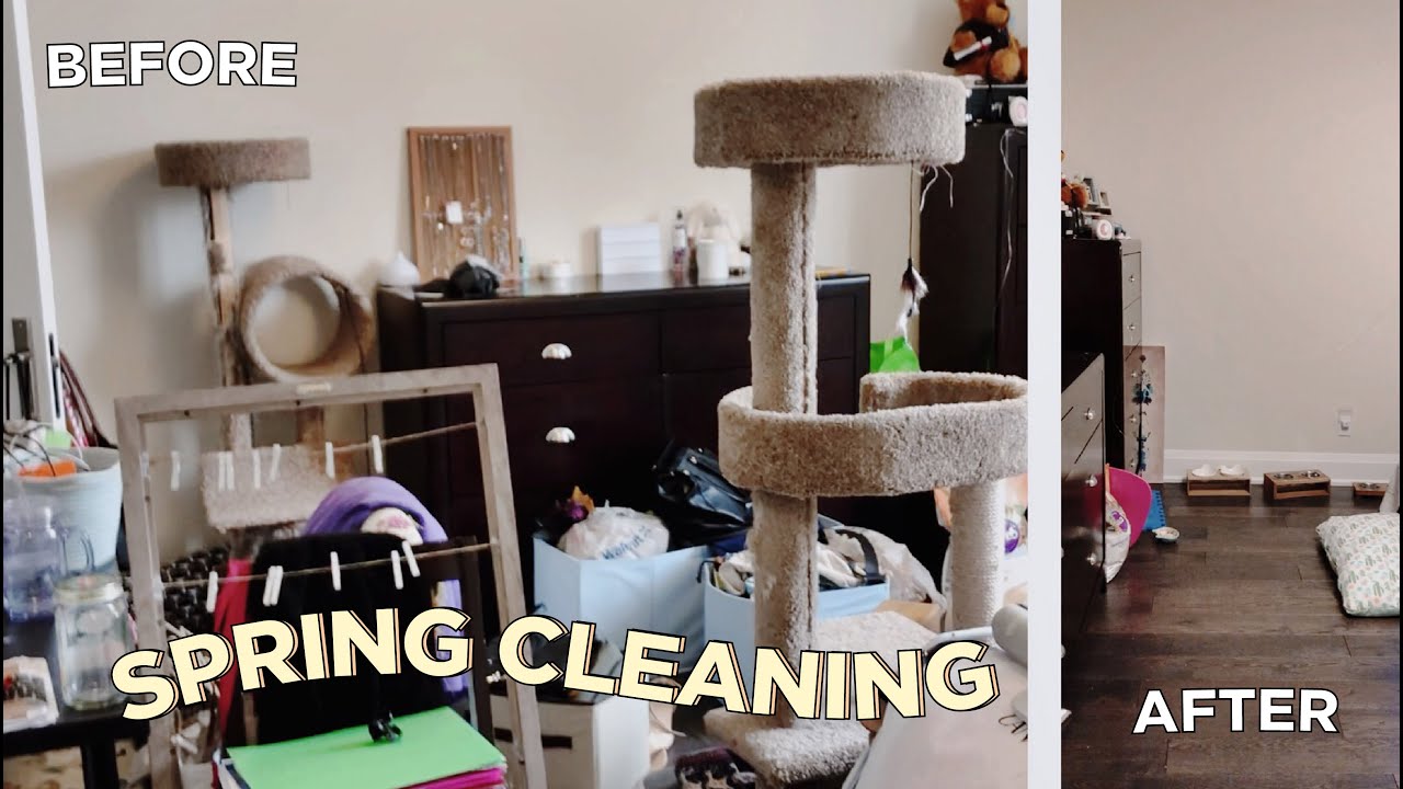 Spring Cleaning + Reorganizing My Closet While Staying at Home....