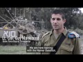 Cannon Barrage: Artillery Corps Drills in Golan Heights