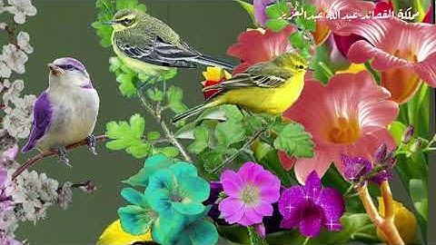 أسأل الله أن يجعلك من الصالحين 🤲مساء الخير 🕌حالات واتس اب دينية 🕋أذكار الصباح و المساء 🌺استوريات 💐🌴