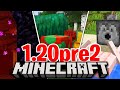 BUG FIX DOPO 10 ANNI!! - Minecraft ITA 1.20 Pre-Release 2