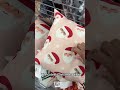 The cutest Christmas pillow