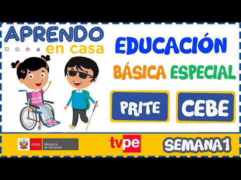 Aprendo en Casa: EDUCACIÓN ESPECIAL - CLASES VIRTUALES , TV PERÚ 2020 PORTAL WEB, Discapacitados