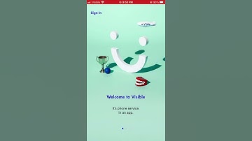 Visible eSIM (How to access)