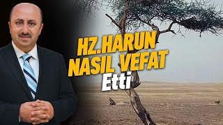 Hz.Musa Neden Ağabeyi Hz.Harun'un Ölümünden Sorumlu Tutuldu | Ömer Döngeloğlu