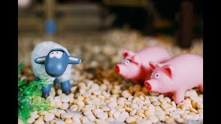 Мультик про домашних животных - Безрогая овца 2018 HD Мультик про домашних животных - Безрогая овца 2018 HD