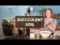 DIY SUCCULENT SOIL MIX & what to look for in pre-made mixes