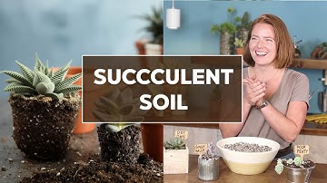 DIY SUCCULENT SOIL MIX & what to look for in pre-made mixes