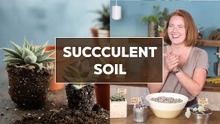 DIY SUCCULENT SOIL MIX & what to look for in premade mixes