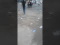 متضاهر ينقذ القوات المنية شاهد الغيرة العراقية