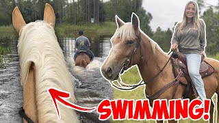 FIRST TRAIL RIDE ON MY NEW HORSE! | We Went Swimming!