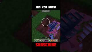 Endermite Vs Enderman Is Epic 😵‍💫🥶 #minecraft #shorts