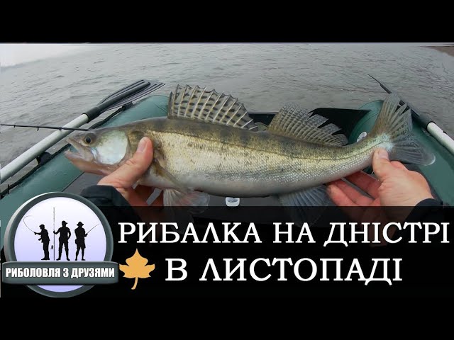 Рибалка на Дністрі, осінь, Чернівецька обл, Берново