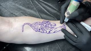 Tiger Tattoo | 3x speed
