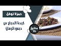 كبدة الدجاج مع دبس الرمان حمزة نوفل