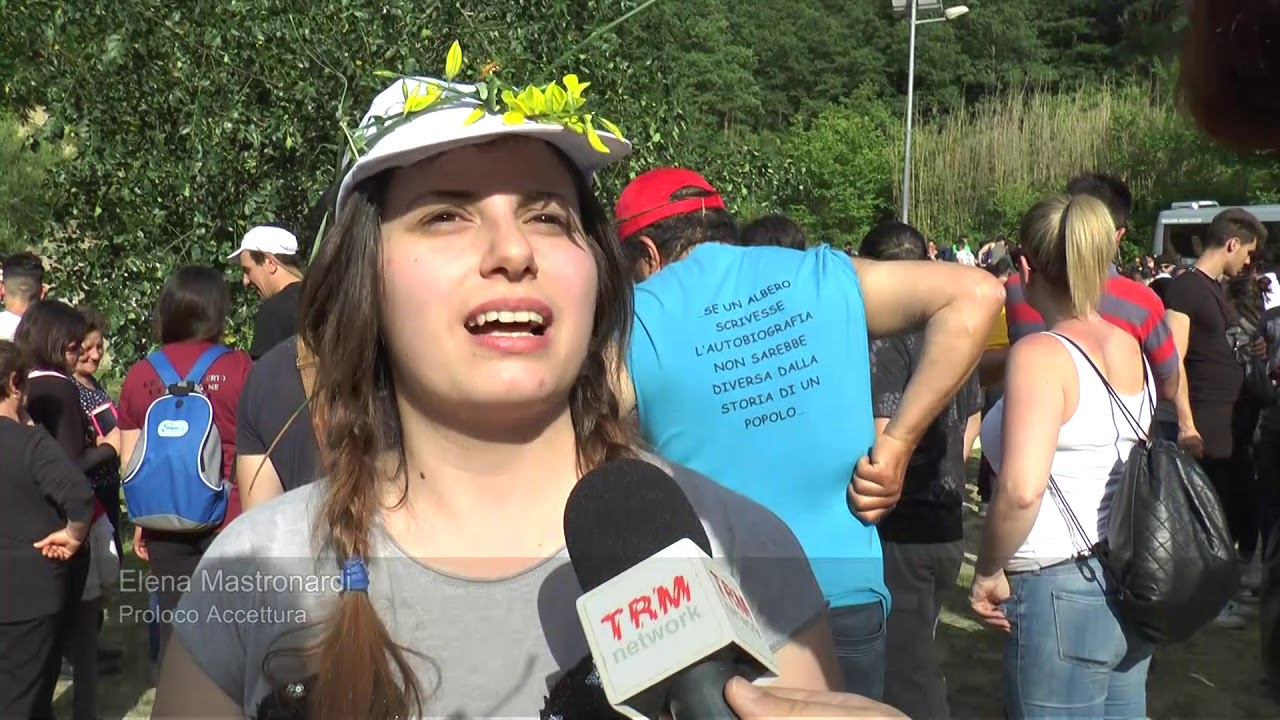 Approfondimento. In Basilicata si rinnova il rito Arboreo del Maggio di Accettura