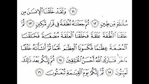 آيات الإلحاد - سورة المؤمنون (12- 16) - ماهر المعيقلي