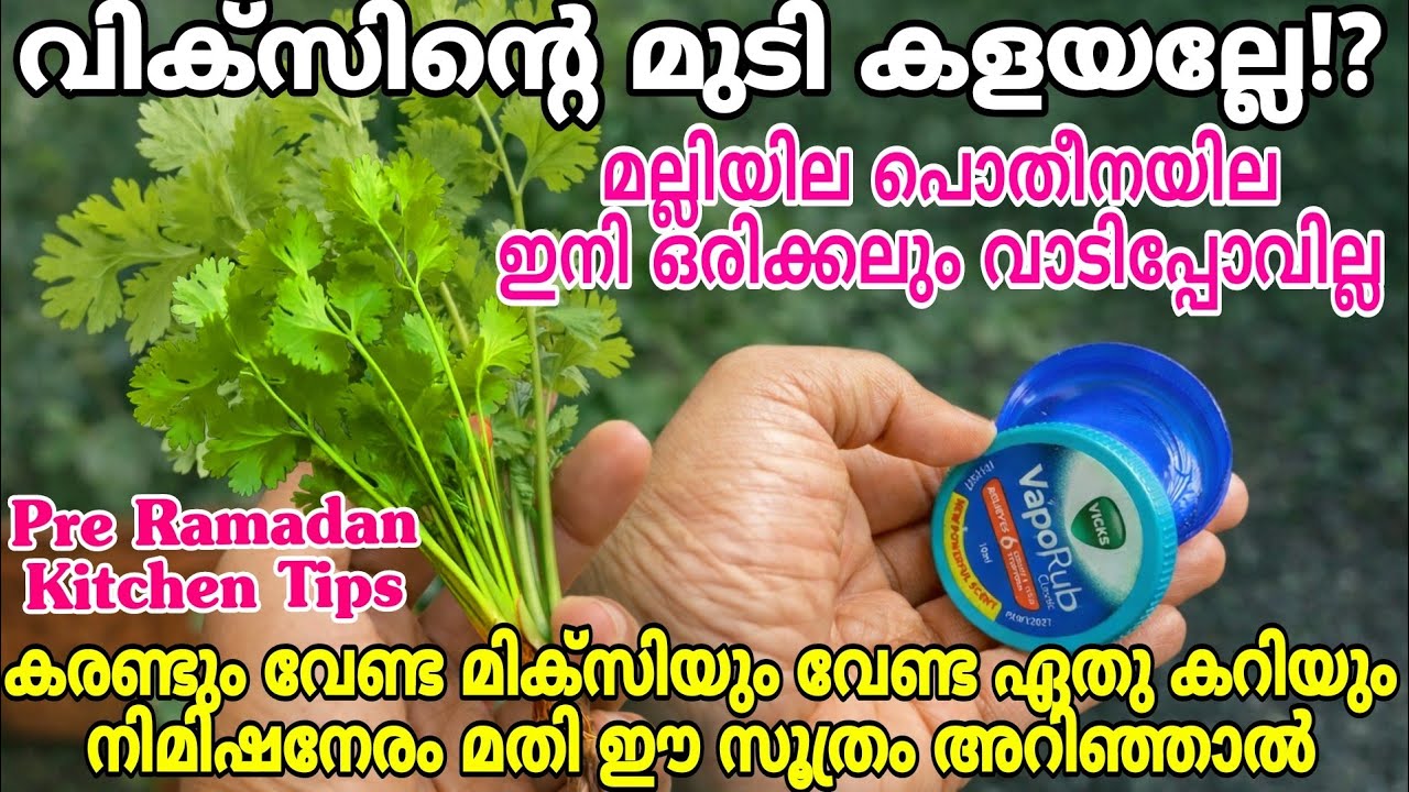 ഈയൊരു മൂടി മതി | ഇനി മല്ലിയില പൊതീനയില വാടില്ല | Useful Kitchen Tips & Tricks | Ramadan Special Tips