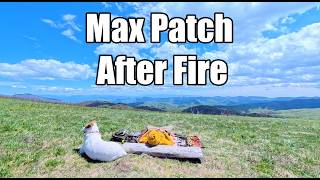 Max Patch After Prescribed Burn/Fire and Buckeye Ridge - Pisgah Forest near Hot Springs, NC