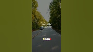 مشاري العفاسي (وماتوفيقي الا بالله)حالات واتس||قران كريم