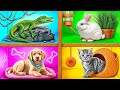 Construimos Casa para Mascotas de Trend DO Challenge