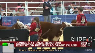 Junior National Hereford Exposition returns to Grand Island