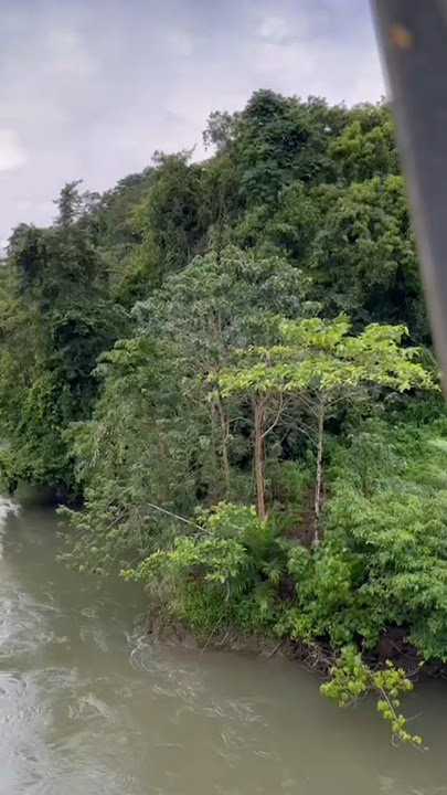 Jembatan perbatasan Kolaka timur dan Konawe Sulawesi Tenggara