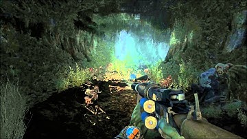 Metro Last Light Bug in Ashes