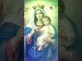 അമ്മേ അമ്മേ തായേ 🙏#mothermary #mothermarysongs #love #youtubeshorts #youtube #shorts #devotional#yt